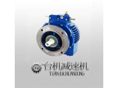 UDL无级变速机 立式与卧式结构解析及其在减速与变速应用中的优势